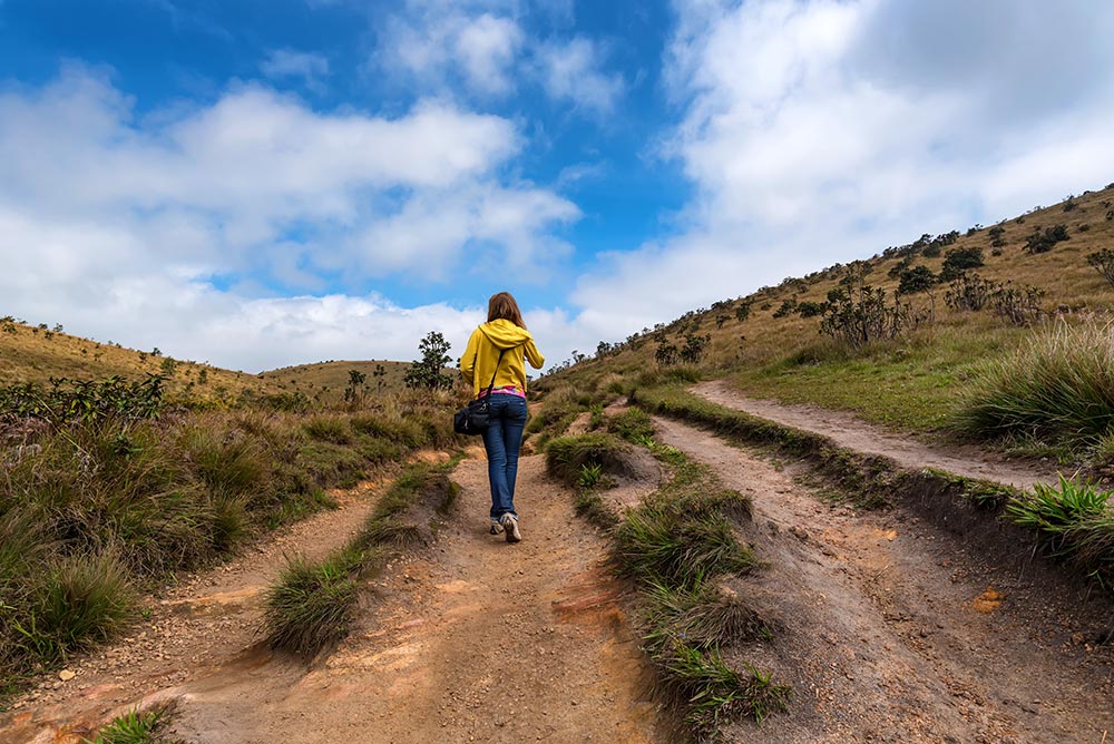 Hiking Trails